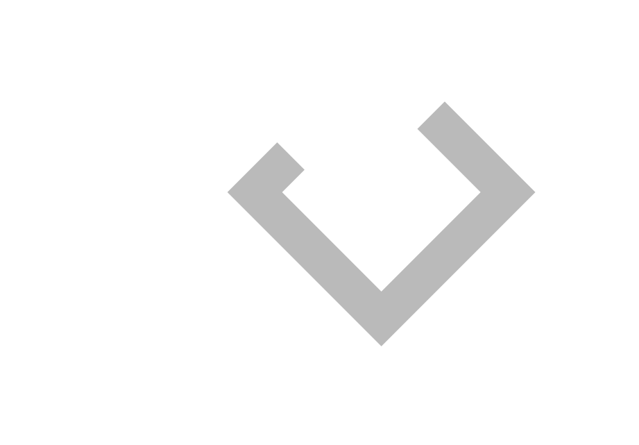 reverse white and grey logo